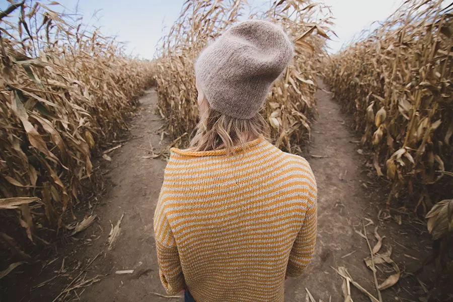 Photo by Burst on Unsplash